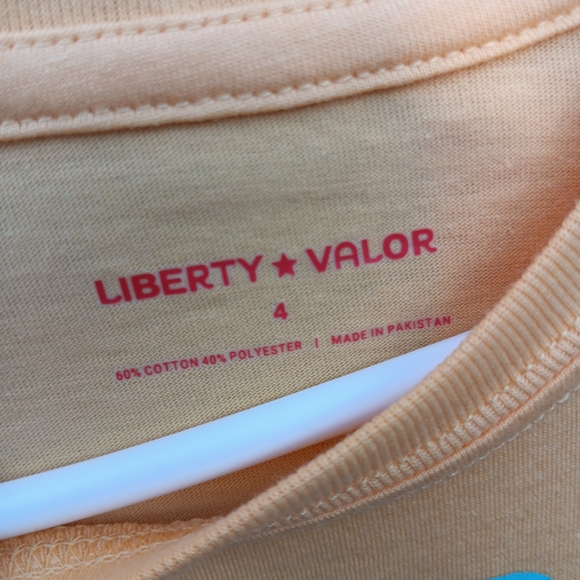 Layered set size 4 kids mountain explorer theme t shirt and sweat shirt NWT - Picture 6 of 8